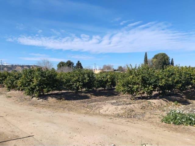 Finca/Casa Rural en venta en Molina de Segura, Murcia