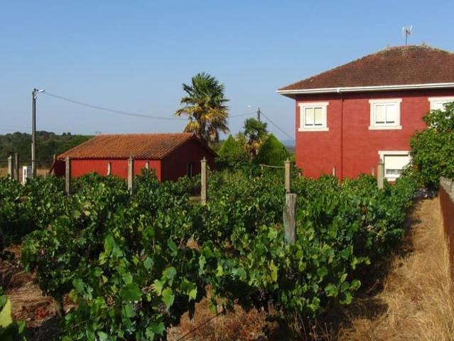 Finca/Casa Rural en venta en Monforte de Lemos, Lugo