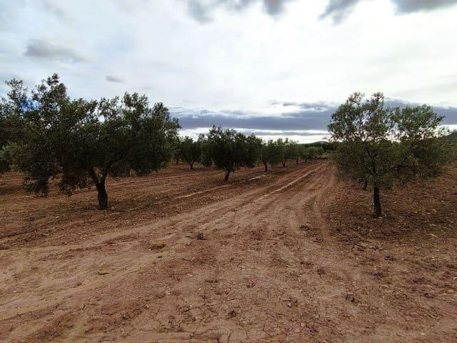 Finca/Casa Rural en venta en Monóvar / Monóver, Alicante