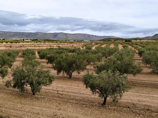 Finca/Casa Rural en venta en Monóvar / Monóver, Alicante