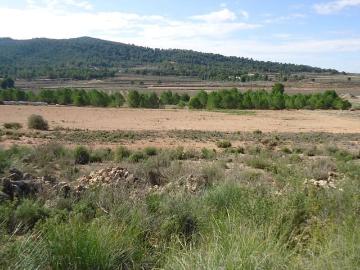 Finca/Casa Rural en venta en Monóvar / Monóver, Alicante