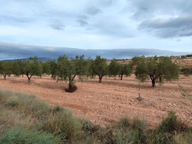 Finca/Casa Rural en venta en Monóvar / Monóver, Alicante