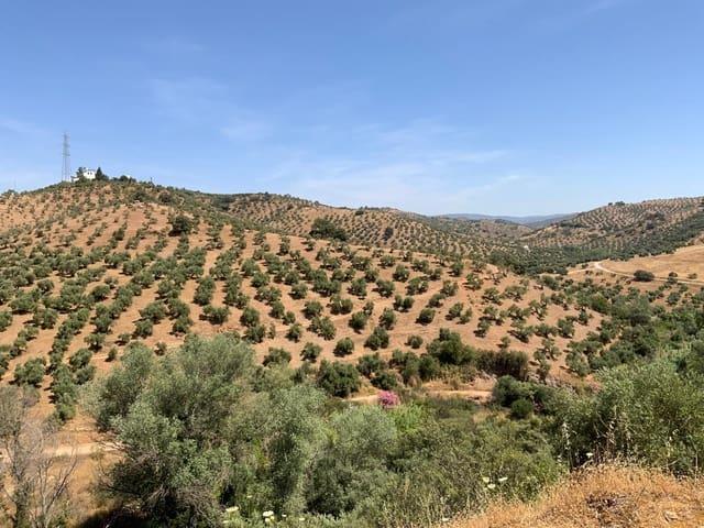 Finca/Casa Rural en venta en Montoro, Córdoba
