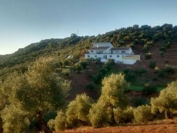 Montoro, Córdoba, Andalucía, Andalucía