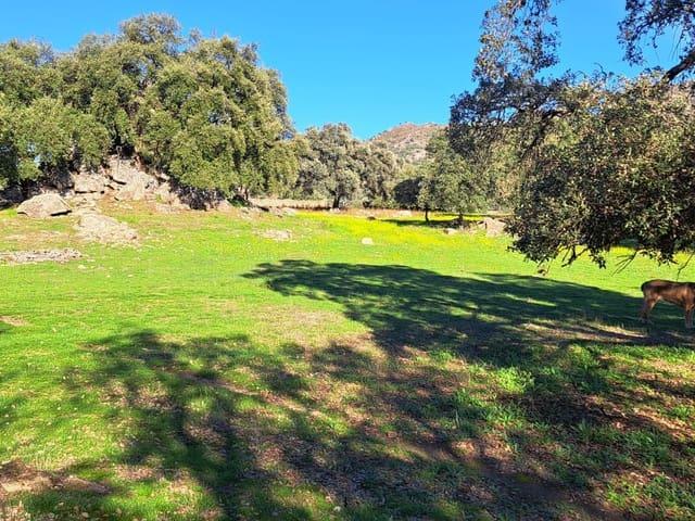 Finca/Casa Rural en venta en Montánchez, Cáceres