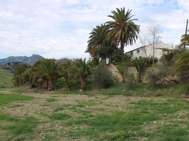 Finca/Casa Rural en venta en Montecorto, Málaga