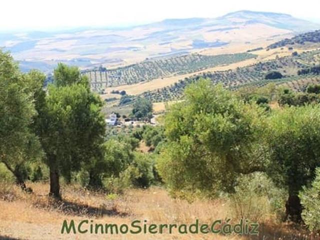Finca/Casa Rural en venta en Montecorto, Málaga