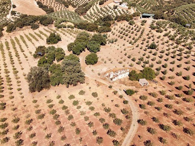 Finca/Casa Rural en venta en Montefrío, Granada