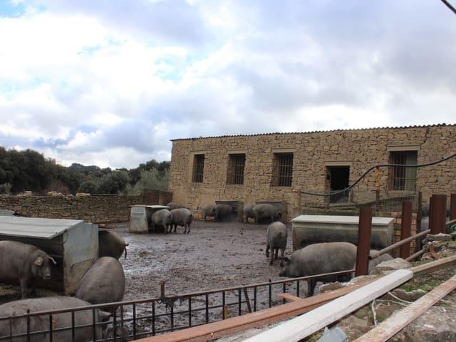 Finca/Casa Rural en venta en Montejaque, Málaga