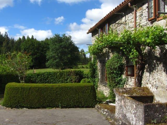 Finca/Casa Rural en venta en Monterroso, Lugo