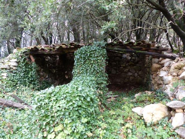 Finca/Casa Rural en venta en Montseny, Barcelona