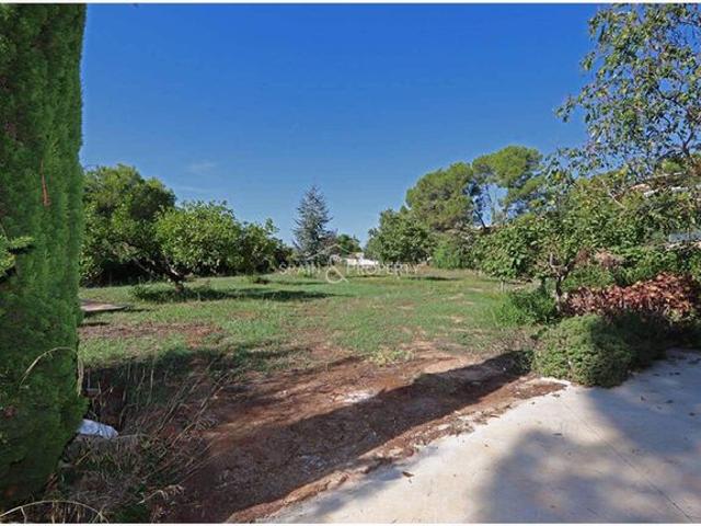 Finca/Casa Rural en venta en Montserrat, Valencia