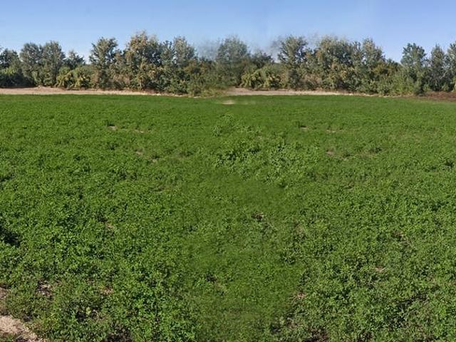 Finca/Casa Rural en venta en Monturque, Córdoba