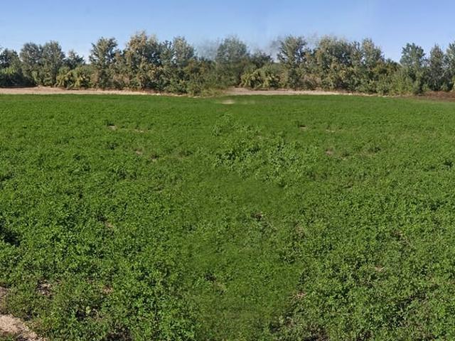 Finca/Casa Rural en venta en Monturque, Córdoba