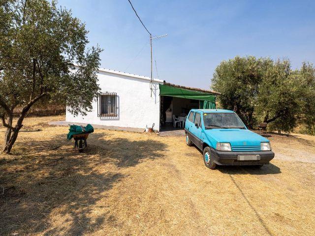 Finca/Casa Rural en venta en Moraleda de Zafayona, Granada