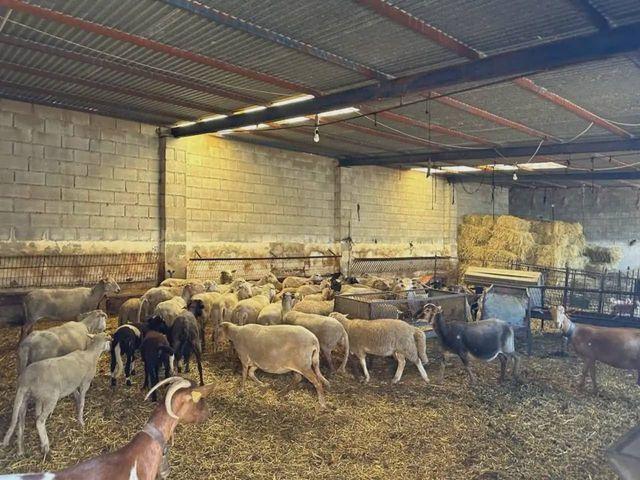 Finca/Casa Rural en venta en Moraleda de Zafayona, Granada