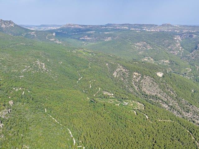 Finca/Casa Rural en venta en Moratalla, Murcia