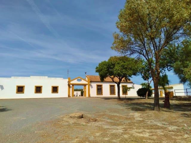 Finca/Casa Rural en venta en Morón de la Frontera, Sevilla