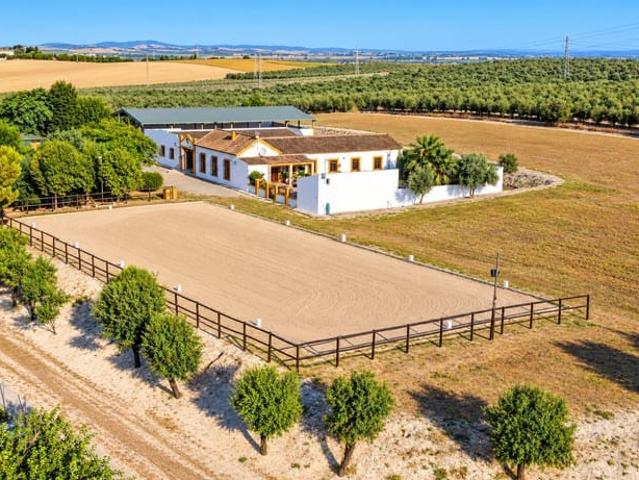 Finca/Casa Rural en venta en Morón de la Frontera, Sevilla