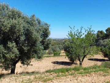 Finca/Casa Rural en venta en Mazaleón, Teruel