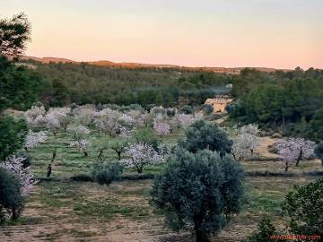 Finca/Casa Rural en venta en Mazaleón, Teruel