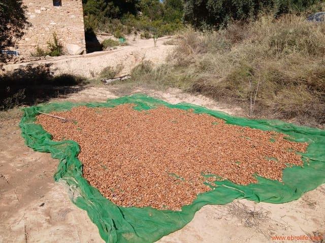 Finca/Casa Rural en venta en Mazaleón, Teruel