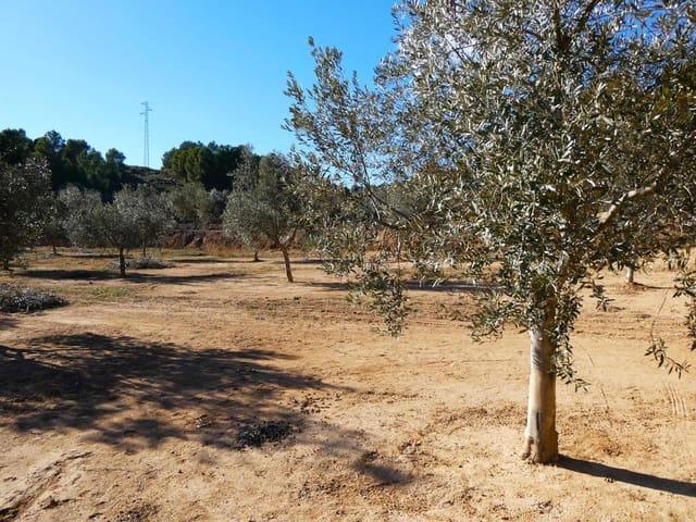 Finca/Casa Rural en venta en Mazaleón, Teruel