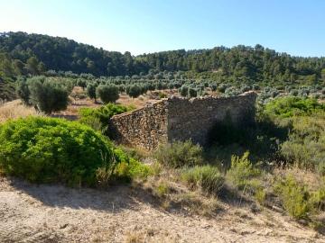 Finca/Casa Rural en venta en Mazaleón, Teruel