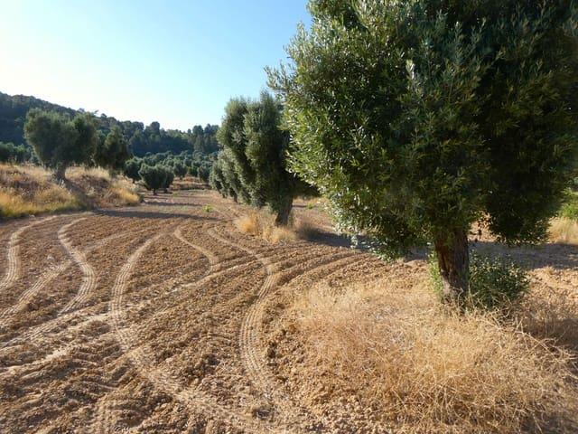 Finca/Casa Rural en venta en Mazaleón, Teruel