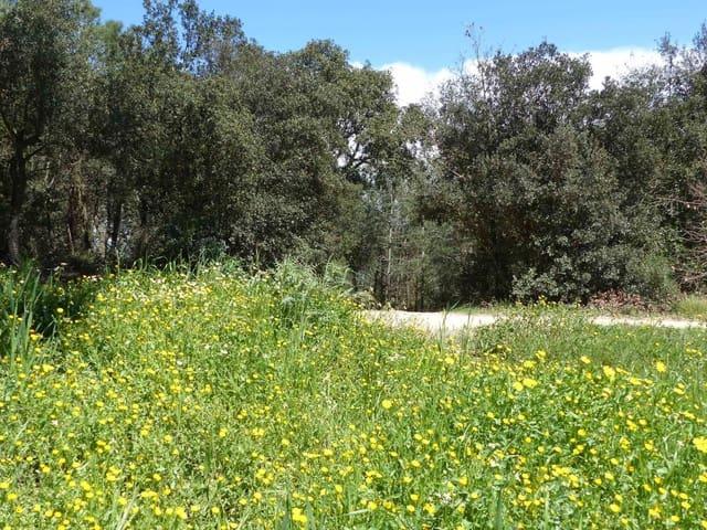 Finca/Casa Rural en venta en Maçanet de la Selva, Girona