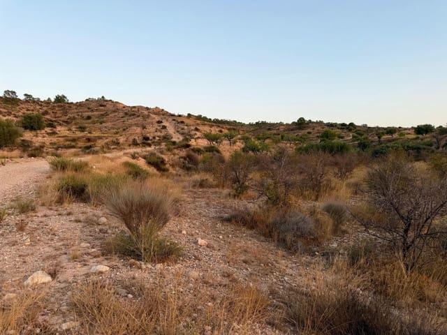 Finca/Casa Rural en venta en Macisvenda, Murcia