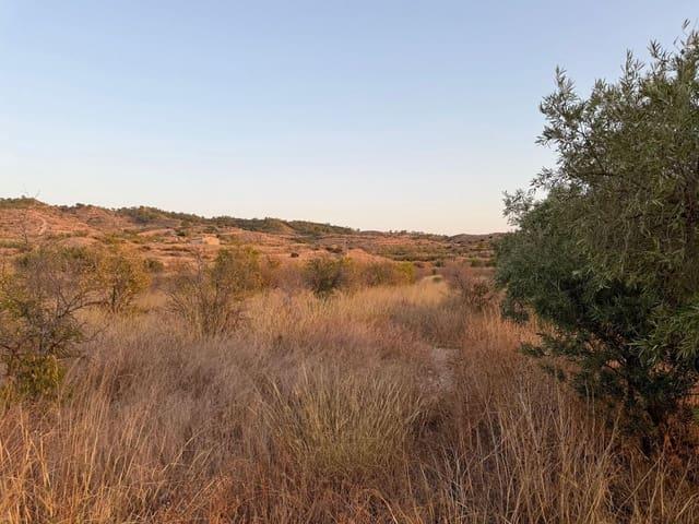 Finca/Casa Rural en venta en Macisvenda, Murcia