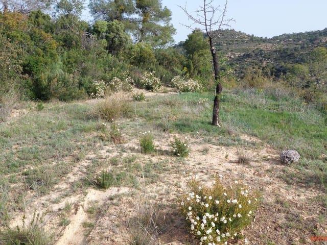 Finca/Casa Rural en venta en Maella, Zaragoza