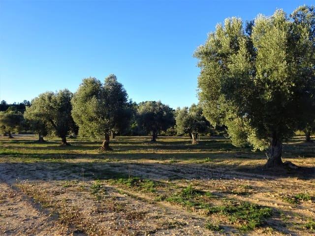 Finca/Casa Rural en venta en Maella, Zaragoza