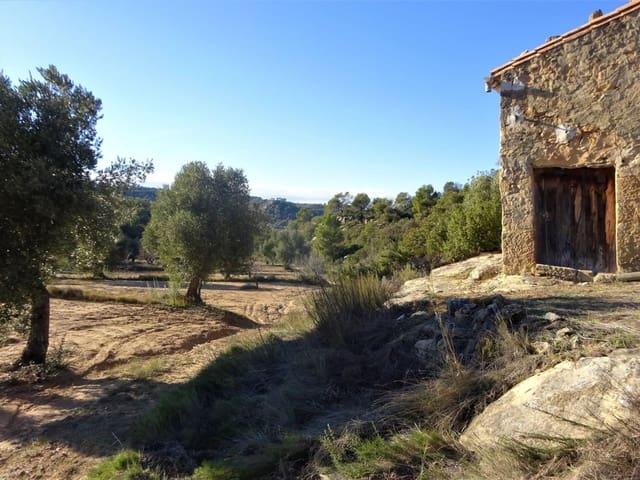 Finca/Casa Rural en venta en Maella, Zaragoza