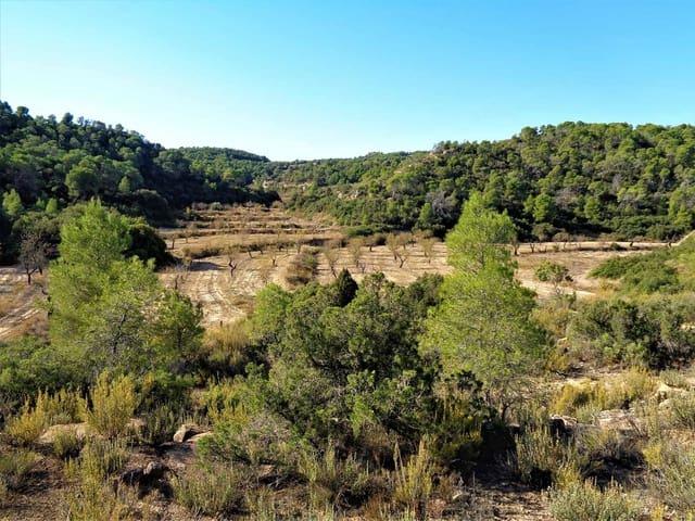 Finca/Casa Rural en venta en Maella, Zaragoza