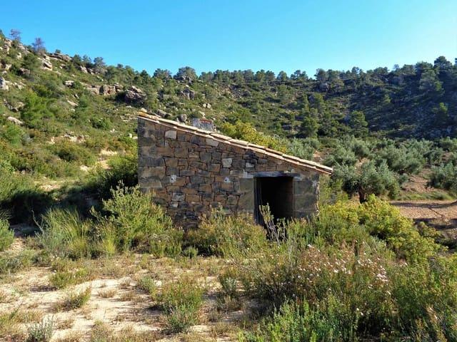 Finca/Casa Rural en venta en Maella, Zaragoza