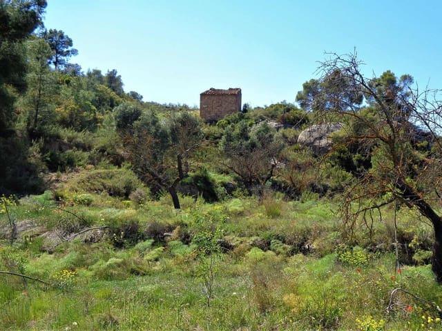 Finca/Casa Rural en venta en Maella, Zaragoza