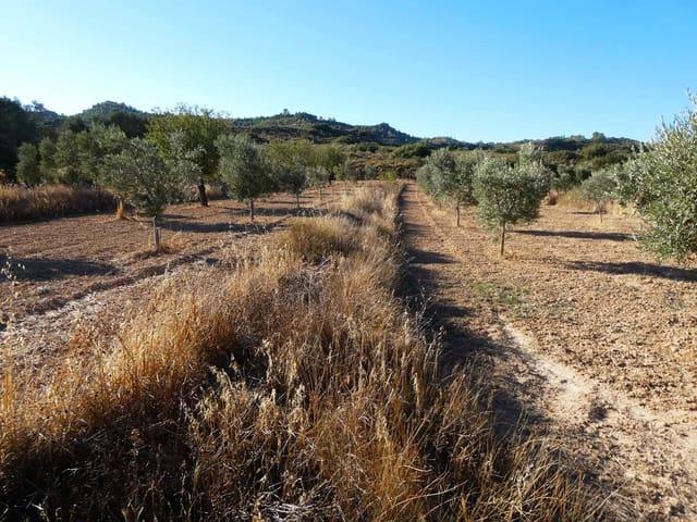 Finca/Casa Rural en venta en Maella, Zaragoza