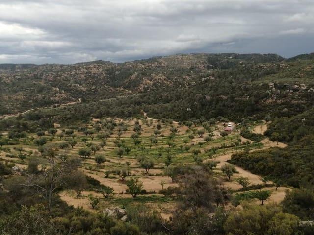 Finca/Casa Rural en venta en Maella, Zaragoza