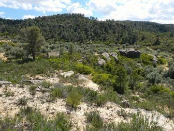 Finca/Casa Rural en venta en Maella, Zaragoza