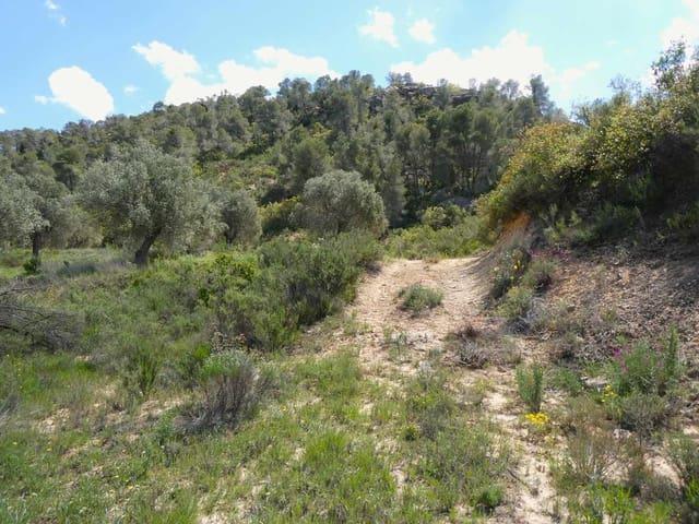 Finca/Casa Rural en venta en Maella, Zaragoza