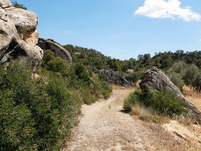 Finca/Casa Rural en venta en Maella, Zaragoza