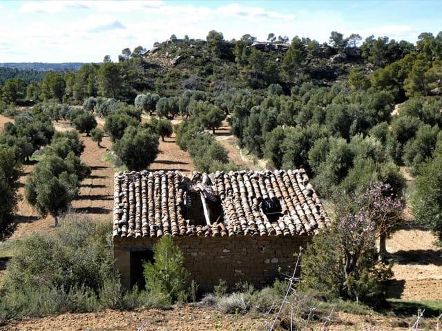 Finca/Casa Rural en venta en Maella, Zaragoza
