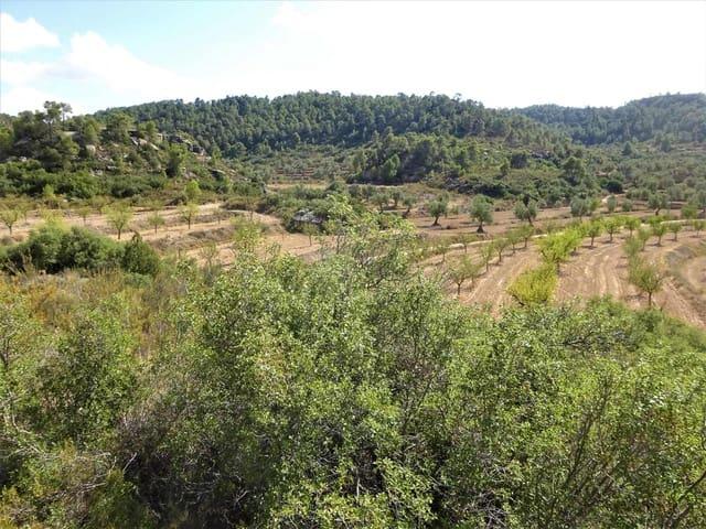 Finca/Casa Rural en venta en Maella, Zaragoza