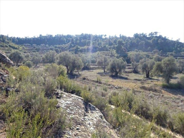 Finca/Casa Rural en venta en Maella, Zaragoza