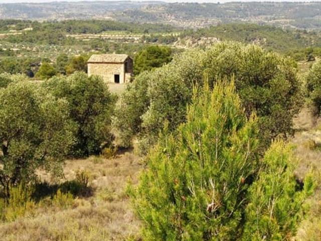 Finca/Casa Rural en venta en Maella, Zaragoza