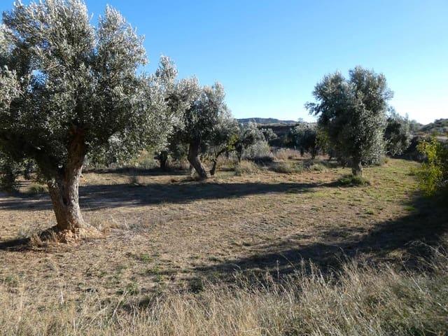 Finca/Casa Rural en venta en Maella, Zaragoza