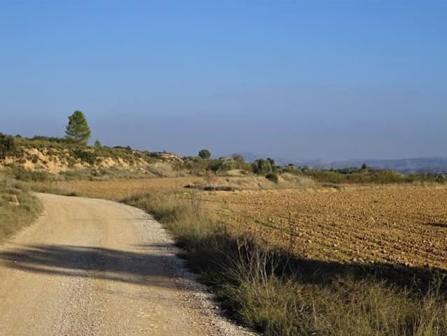Finca/Casa Rural en venta en Maella, Zaragoza