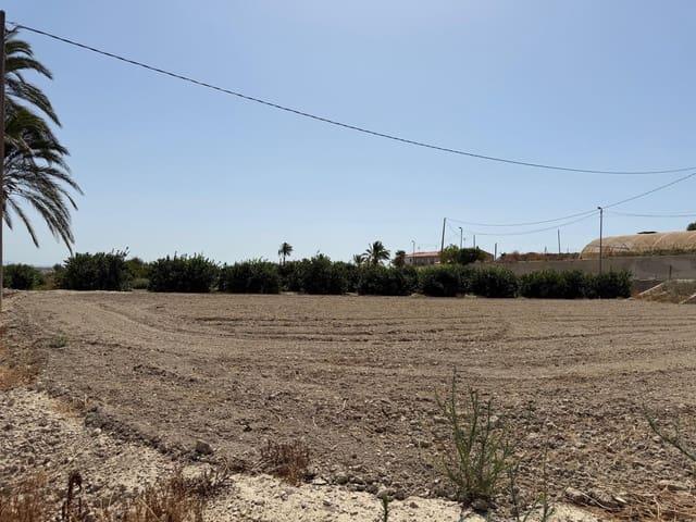 Finca/Casa Rural en venta en Mahoya, Murcia
